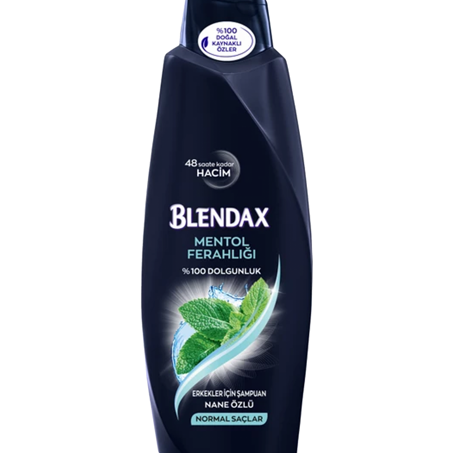 Blendax Shampoing Fraîcheur Intense au Menthol – Pour Homme 550 ML