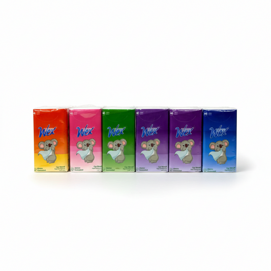 Wex Lot de 10 Mini Mouchoirs de Poche